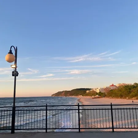 Sunflower Park * 미엥지즈드로예